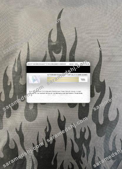Netherlands Amsterdam Trade Bank visa electron card photolook back